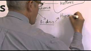 DKA Diabetic Ketoacidosis [upl. by Airdnala]