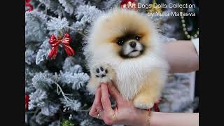 Pomeranian Puppy doll quotFabioquot wwwartdogdollsru [upl. by Arihk]