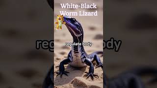 WhiteBlack Worm Lizard FUN FACTanimals shorts fun fact [upl. by Xed577]