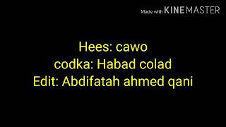 Hees Habad colaad cawo lyrics [upl. by Vinny]