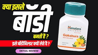 Himalaya gokshura tablet  Usage benefits amp side effects  Review by DrMayur  Testosterone [upl. by Esiahc]