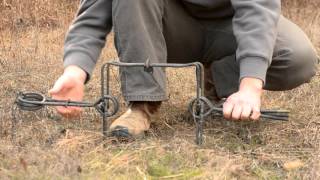 Fur Trapping  How to set a Conibear Trap [upl. by Selig]