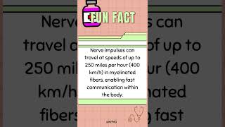 ⚡LightningFast Nerve Signals—Which Part of Your Body Is the Speedster mededtrivia biology quiz [upl. by Acemat]