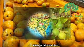 Jadli Foods Short amp Complete Presentation [upl. by Essirahc]