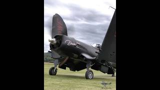 ChanceVought F4U5NL Corsair wingfold warbirds aviation aviationlovers corsair wingfold [upl. by Annaiviv]