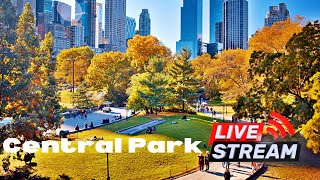 New York City Central Park Walking Tour [upl. by Annovoj]