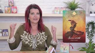 Oracle Card Guidance and Lesson for October 15th21st [upl. by Whallon]