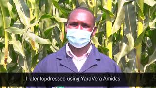 Yara fertilizer maize testimonial in Moiben [upl. by Maxwell]