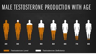 What is testosterone Pharmacology and psyche The main male hormone [upl. by Garretson595]