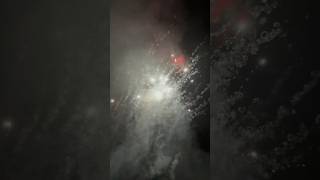 Pyrogenie Batterie Wirbel Effekt fypシ゚viral fajerwerki feuerwerk vuurwerk fypシ゚ [upl. by Oos]