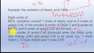 Beta Oxidation of Oleic acidCalculation of ATP [upl. by Marden]