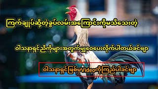 ကြက်ချုပ်ခွပ်လမ်းအကြောင်းမသိသေးသောဝါသနာရှင်ညီကိုများအတွက် [upl. by Buckingham]