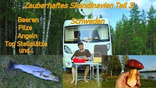 Mit dem Wohnmobil im zauberhaften Skandinavien Teil 3 Pilze Beeren Angeln in Schweden und [upl. by Bbor113]