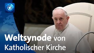 Weltsynode Katholische Kirche diskutiert über Zukunft [upl. by Stodder]