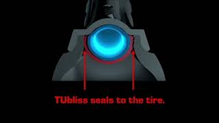 TECH TIP TUBLISS RESET [upl. by Shanks]