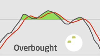 Oscillators Stochastic MACD RSI Parabolic Indicators [upl. by Nyasuh]