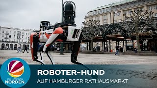 RoboterHund auf dem Hamburger Rathausmarkt [upl. by Sarat]