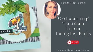 How I coloured the Toucan from Stampin Up Jungle Pals [upl. by Inatirb]