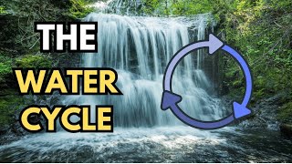 The Water Cycle Explained for kids  How It Works 🌧️💧 Everything About Water Cycle water [upl. by Aniaj]