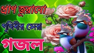 নতুন গজল মায়ের গজল  New Bangla gojol মায়ের গজল  maa song  Islamic song [upl. by Atelahs548]