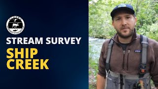 Counting Salmon in the heart of Anchorage  Ship Creek Stream Survey [upl. by Oralee]