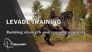 S03E14 Levade Training  Building Strength and Carrying Capacity [upl. by Eiramanad]