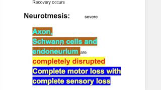 Neuropraxia Axonotmesis Neurotmesis [upl. by Liss]