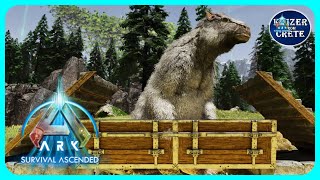 ASA Megatherium Trap  How to Build a Megatherium Trap  ARK Survival Ascended [upl. by Malamud]