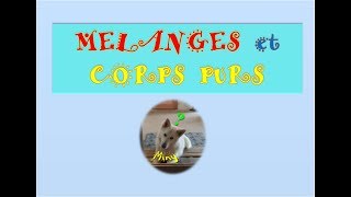 Mélanges et corps purs [upl. by Nilrev832]