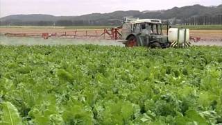 Swiss Farmers  keeping the land alive [upl. by Mackie118]