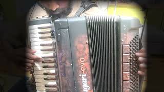 Indifference  Waltz on Digital Accordion [upl. by Arrak]