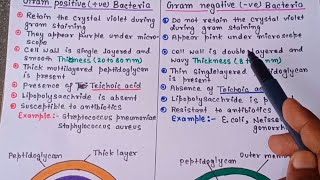 Classification of bacteria on the basis of gram stain and shapes of bacteria Easy lecture in hindi [upl. by Hareenum]