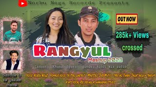 Rangyul Mashup 2023 Ladakhi Spiti Kinnauri Pahari Mix AudioNorbu NegzSkitsal GarskitJkb Music [upl. by Nosned831]