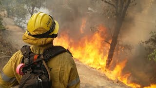 Incendios forestales arrasan con viviendas alrededor de Los Ángeles  AFP [upl. by Frederiksen893]