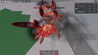 crab vs crab epica batalla [upl. by Ennaxor]