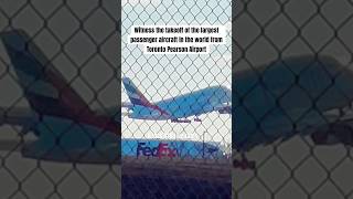 Largest passenger aircraft in the world taking off from Toronto Pearson largestaircraft aviation [upl. by Farnham]