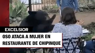 Oso ataca a mujer en restaurante de Nuevo León [upl. by Cofsky]