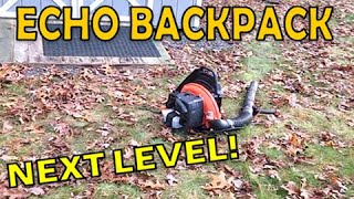 Echo Backpack Leaf Blower PB755ST  2 Year Update [upl. by Eciram277]