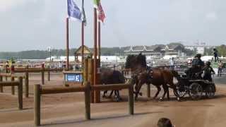 Wrigley Miller Misdee USA CH M A4 Alltech FEI WEG Caen Normandy FRA 2014 Marathon O 1 06 09 20 [upl. by Thaxter169]