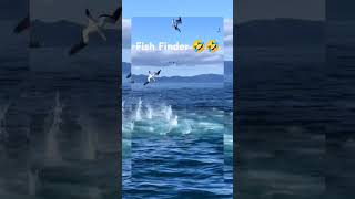 Fish Finder 😀😀 [upl. by Myrilla233]