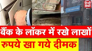 बैंक के लॉकर में रखे लाखों रुपये खा गये दीमक  Noida Bank Locker News [upl. by Olmstead]