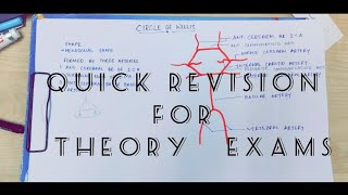 What is Circle of Willis💥  Blood supply to brain 🧠 Anatomy  Quick Review for Theory paper [upl. by Norod609]