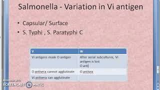 Microbiology 321 b Salmonella Typhoid Antigenic Variation 2 [upl. by Rivkah]