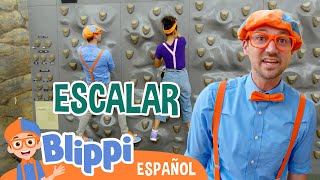 Escalamos con Blippi y Meekah 😊  Blippi Español  Videos educativos para niños  Aprende y Juega [upl. by Nynnahs]