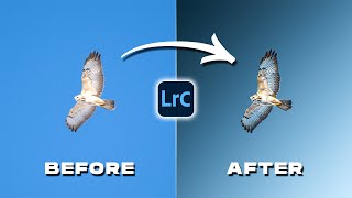 Transform Your Photos in Lightroom Like a PRO [upl. by Adnilec]