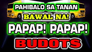 BAWAL NA PAPAP PAPAP BUDOTS DISCO REMIX [upl. by Ahsercul759]