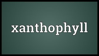 Xanthophyll Meaning [upl. by Phillida]