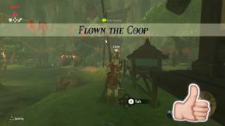 Flown the Coop  Legend of Zelda Breath of the Wild [upl. by Ennahgiel604]