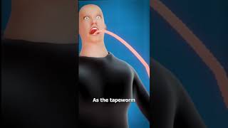 How Tapeworms Grows Inside Human Body [upl. by Tedman]