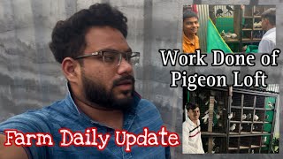 Farm Daily Update  Work Done of Pigeon loft farming farmgoatfarm goat peigeons bestfarm vlog [upl. by Ednyl]